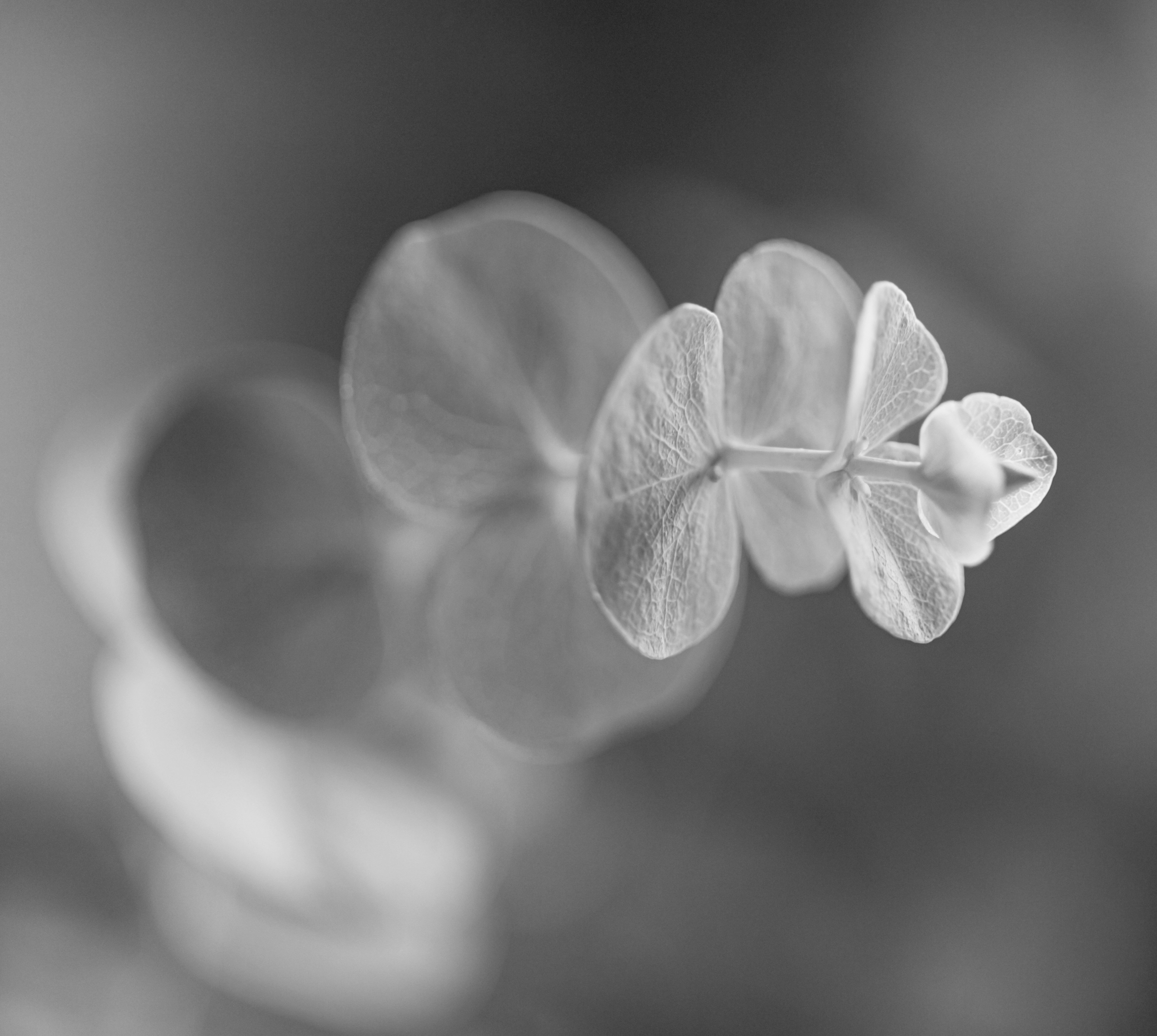 Celebrating 10 years of Financial Clarity and Confidence