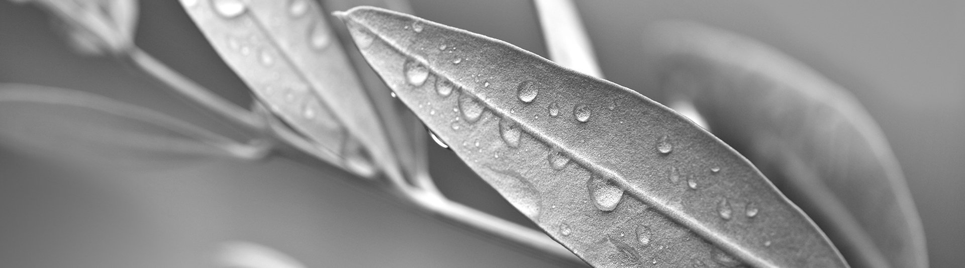 We deliver quality, understandable advice